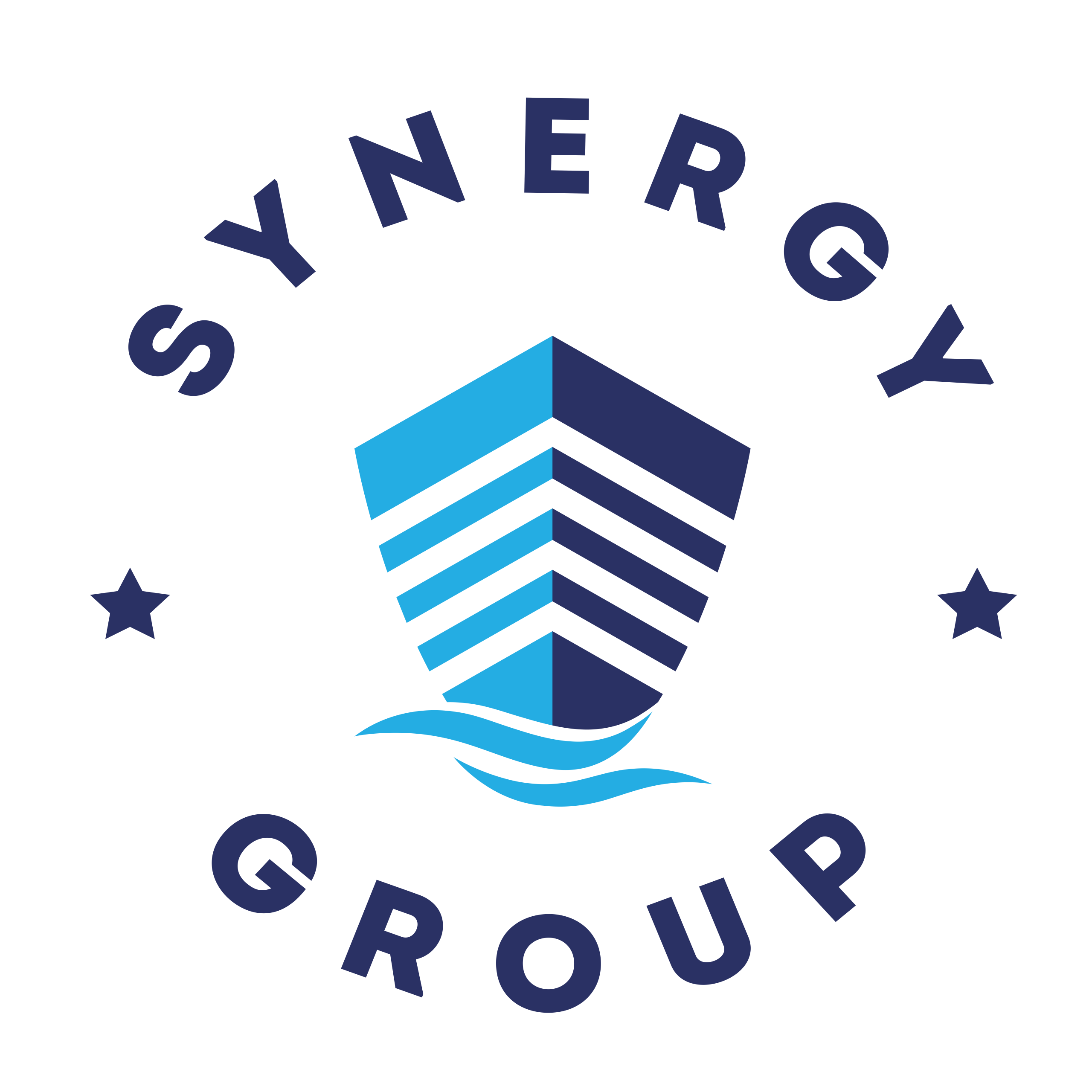 Partner Logo